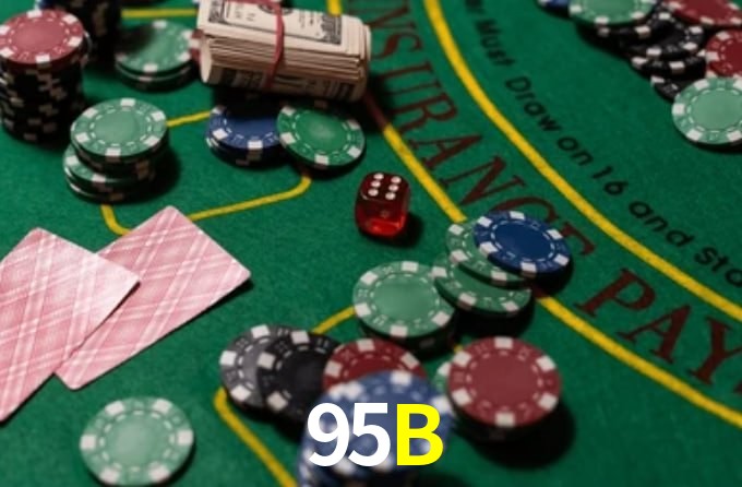 95B App Interface